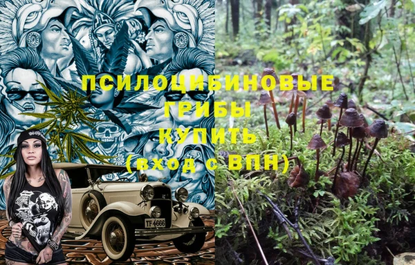 молекула духа Алзамай