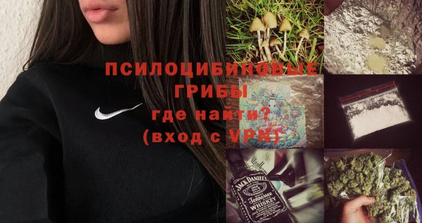 молекула духа Алзамай
