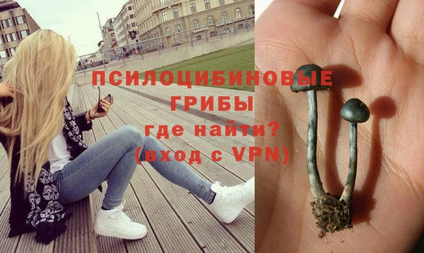 mix Абинск